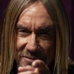 artist image Iggy Pop & The Stooges I'm a Man Anthology