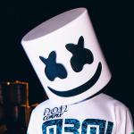 artist image Marshmello Summer Joytime
