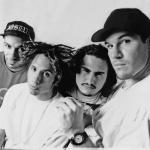 artist image Rage Against The Machine Renegades Of Funk Renegades
