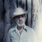 artist image JJ Cale Sensitive Kind 5