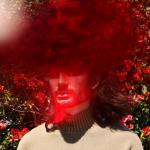 artist image Stephen feat. Lindsey Cook Stay Stay (feat. Lindsey Cook) - Single