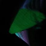 artist image Jeymi TOKIO DRIFT The Fast and the Furious: Tokyo Drift - Single