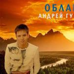 artist image Андрей Губин Лиза Время Романтиков