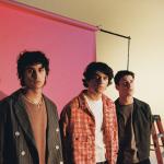 artist image Wallows Remember When Nothing Happens