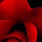 artist image Techno Project, Geny Tur Sahara (Radio Edit) Sahara - Single