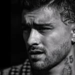 artist image ZAYN Better Nobody Is Listening