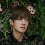 artist image Kim Hyun Joong Because I'm Stupid [Acoustic Version] (OST Цветочки после ягодок) 내 머리가 나빠서 (From 