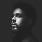 artist image Phaseone Enemy (feat. Shane Told of Silverstein) [https://vk.com/otmmusic] Enemy (feat. Shane Told) - Single