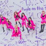 artist image PURPLE KISS Pretty Psycho memeM