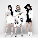 artist image 2NE1 I Don't Care (Reggae Mix Ver.) (Official Instrumental) To Anyone