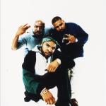 artist image Westside Connection feat. Nate Gangsta nation Greatest Hits Vol. 1