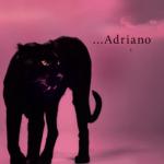 album image dont play that song