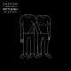 Catfish and the Bottlemen - Cocoon (FIFA 15 OST)