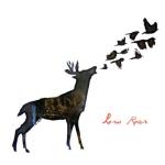 album image Rolling Over Low Roar