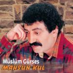 album image Sevdikce Sayende Günahkar Oldum Mahsun Kul