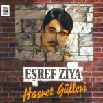 album image Q A R A ProductioN - Icim Yanar 2015 Hasret Gülleri