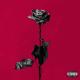 Blackbear - IDFC (Acoustic Version)
