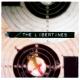 The Libertines - What a Waster