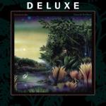 album image Little Lies (Extended Version)