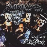 album image B*tch Please (feat. Xzibit & Snoop Dogg) (J. Period Remix) No Limit Top Dogg
