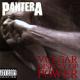 Pantera - Walk (Corey Taylor cover)
