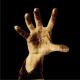 Sistem of a down - Spiders