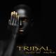 World Dance Music Dj & house music dj - Emotions (Shamanic Healing, Tribal Music)