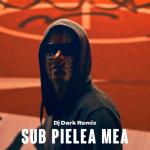 album image Sub pelea mea Sub pielea mea (Dj Dark Remix) - Single
