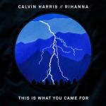album image Calvin Harris - This Is What You Came For (Official Video) ft. Rihanna This Is What You Came For - Single