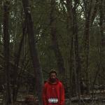 album image Just Tryna Red Teenage Melody