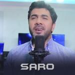 album image Srtis Hamar Hamar Mek Srtis № № 1 - Single
