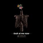 album image Look At Me Now (Offender) Look at Me Now - Single