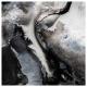 Novo Amor, Ed Tullett - Euphor