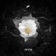 Avicii, Sandro Cavazza - Without You