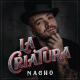 Nacho, Yandel, Bad Bunny - Báilame