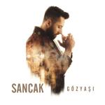 album image Gitme Kal Diyemedim Gözyaşı