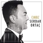 album image Havalı Yarim (ft. Yıldız Tilbe) Cımbız