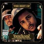 album image Damn ! (2021) The Best of YoungBloodZ - Still Grippin' tha Grain