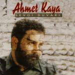 album image Dardayım (Mix) Sevgi Duvarı