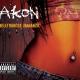 Akon - Hey Ladies Drop It Down