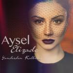 album image Yandirdin qelbimi aman Yandırdın Kalbimi - Single