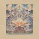 Junip - The Ghost of Tom Joad
