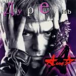 album image Траса Е-95 Дурень