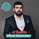 album image Olsun Olsun