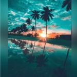 album image Faded (Slowed)