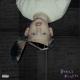 Machine Gun Kelly feat. Naomi Wild - Glass House