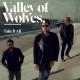 Valley of Wolves - Dangerous Man