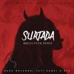 album image Surtada Remix BregaFunk (BriStudio produção) Surtada (Remix Brega Funk) - Single