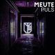 MEUTE - Holy Harbour