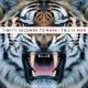 Thirty Seconds To Mars - 100 Suns